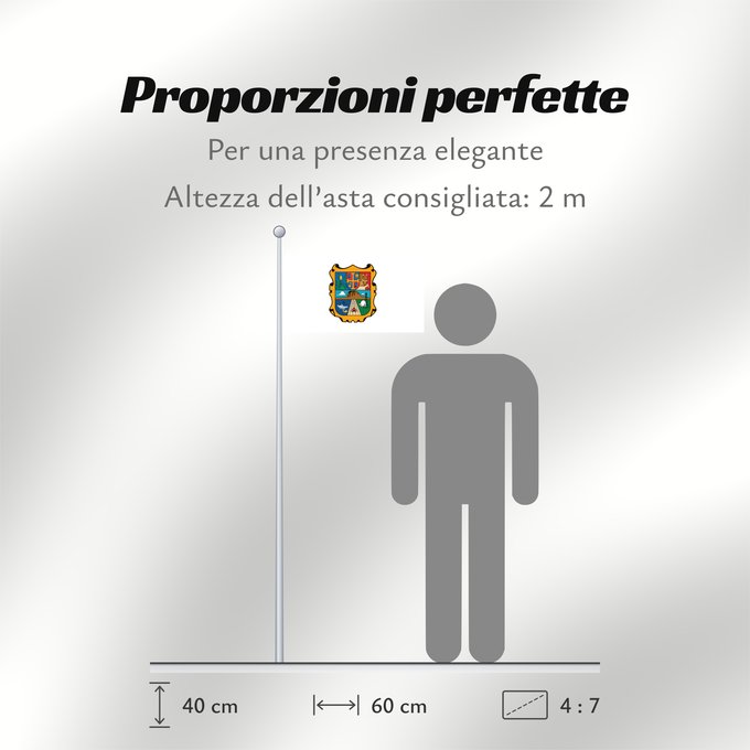 Proporzioni della bandiera: Tamaulipas