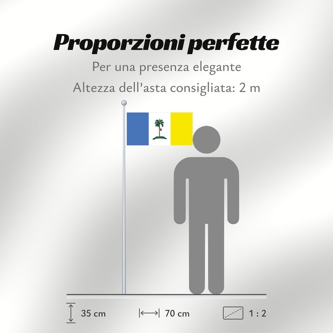 Proporzioni della bandiera: Pulau Pinang