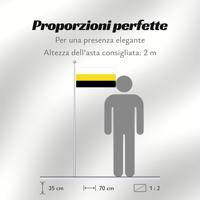 Proporzioni della bandiera: Perak Malaysian state of Perak