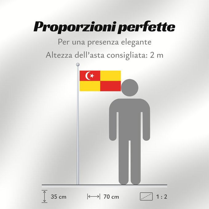 Proporzioni della bandiera: Selangor	Selangor 	Malaysian state Selangor