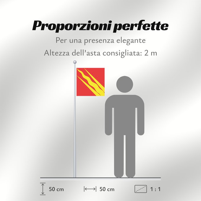 Proporzioni della bandiera: Østfold	County of Østfold, Norway	comté d’Østfold