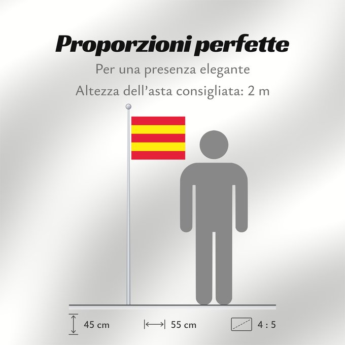 Proporzioni della bandiera: Aust-Agder Former county of Aust‐Agder, Norway comté d’Aust-Agder
