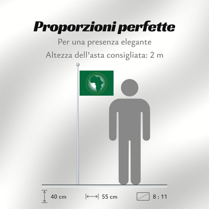 Proporzioni della bandiera: African Union