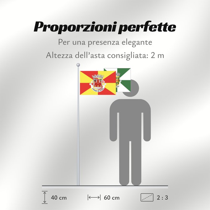 Proporzioni della bandiera: Viseu