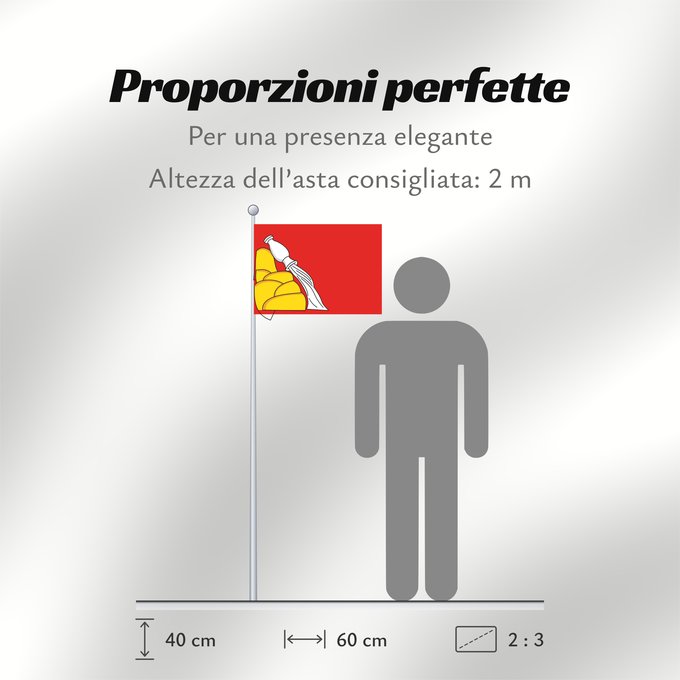 Proporzioni della bandiera: Voronezh Oblast	Voronezh Oblast of Russia	Oblast de Voronej	Óblast de Vorónezh	Oblast Woronesch	Флаг Воронежской области  Россия	Прапор Воронезької області  Росія
