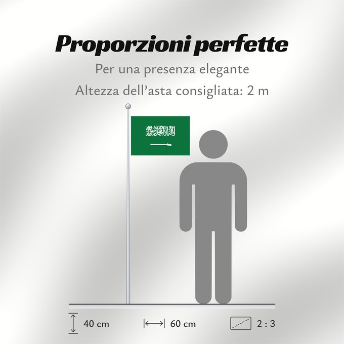 Proporzioni della bandiera: Civil Ensign of Saudi Arabia  obverse	Saudi Arabia	Arabie saoudite	Arabia Saudita	Saudi-Arabien