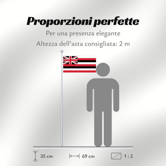 Proporzioni della bandiera: Hawaii	D Hawaï	Hawái	Banniel Hawaii	ᎭᏩᏱ ᎦᏓᏘ	Ka hae Hawaiʻi	夏哇夷 州의 旗 / 하와이 주의 기	Havaii	Hawáai Hahoodzo bidah naatʼaʼí	Флаг Гавайев	Američke savezne države Havaji