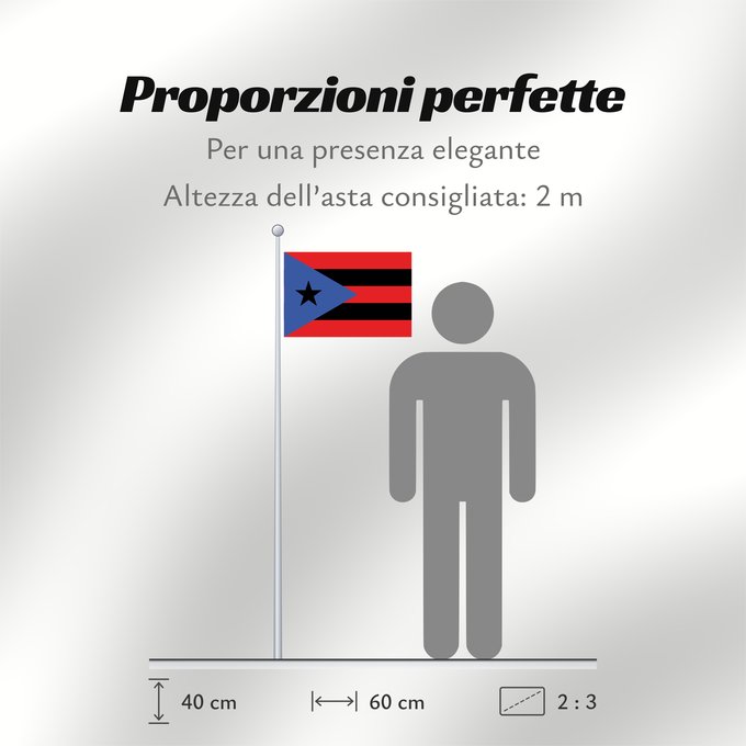 Proporzioni della bandiera: Puerto Rico