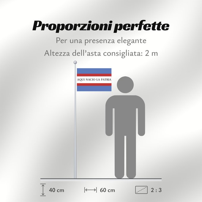 Proporzioni della bandiera: Soriano Department Soriano département de Soriano