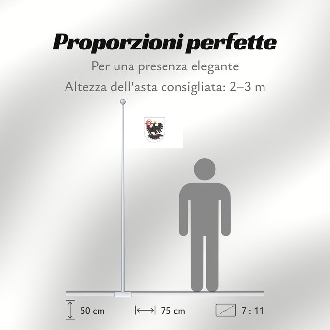 Proporzioni della bandiera: Ciudad de Buenos Aires Autonomous city of Buenos Aires, Argentina Ciudad Autónoma de Buenos Aires Ciudad Autonoma de Buenos Aires, Argentina