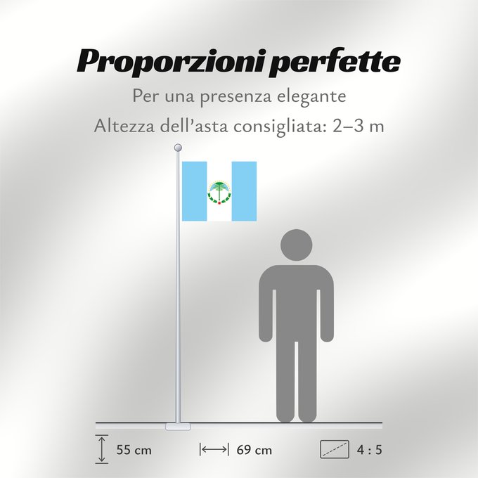 Proporzioni della bandiera: Neuquén
