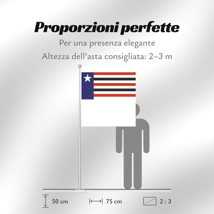 Proporzioni della bandiera: Maranhão