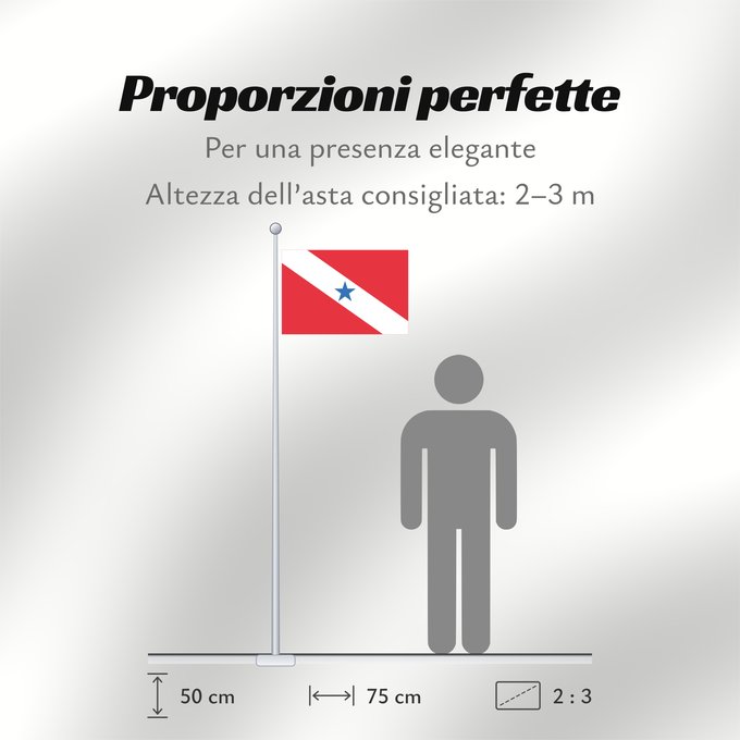 Proporzioni della bandiera: Pará