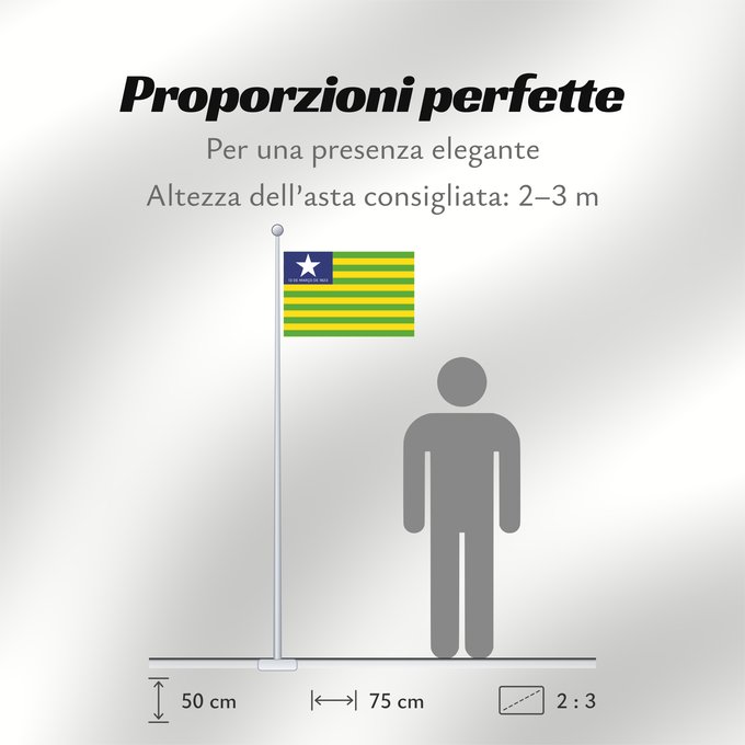 Proporzioni della bandiera: Piauí