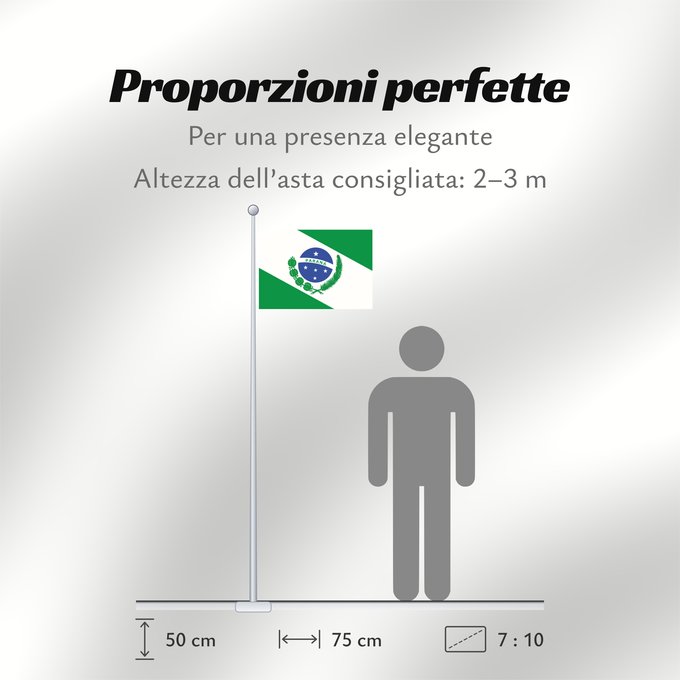 Proporzioni della bandiera: Paraná