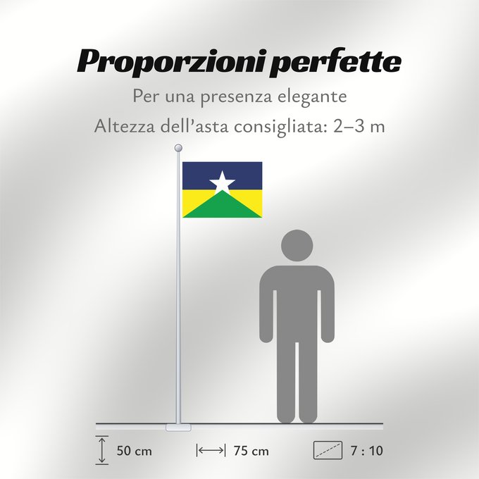 Proporzioni della bandiera: Rondônia