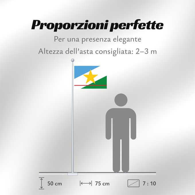 Proporzioni della bandiera: Roraima