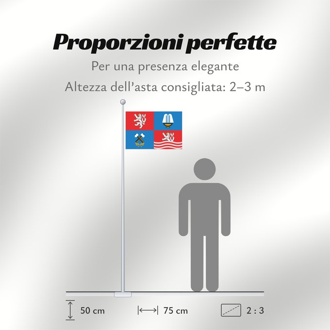 Proporzioni della bandiera: Karlovy Vary Region	Région de Karlovy Vary	Región de Karlovy Vary	Region Karlovy Vary	Regione di Karlovy Vary