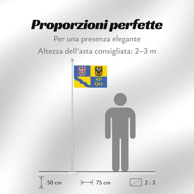 Proporzioni della bandiera: Olomouc Region	Région d'Olomouc	Región de Olomouc	Region Olomouc	Olomouckého kraje