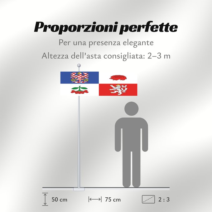 Proporzioni della bandiera: Vysocina Region	Vysočina Region	Région de Vysočina	Región de Vysočina	Region Vysočina