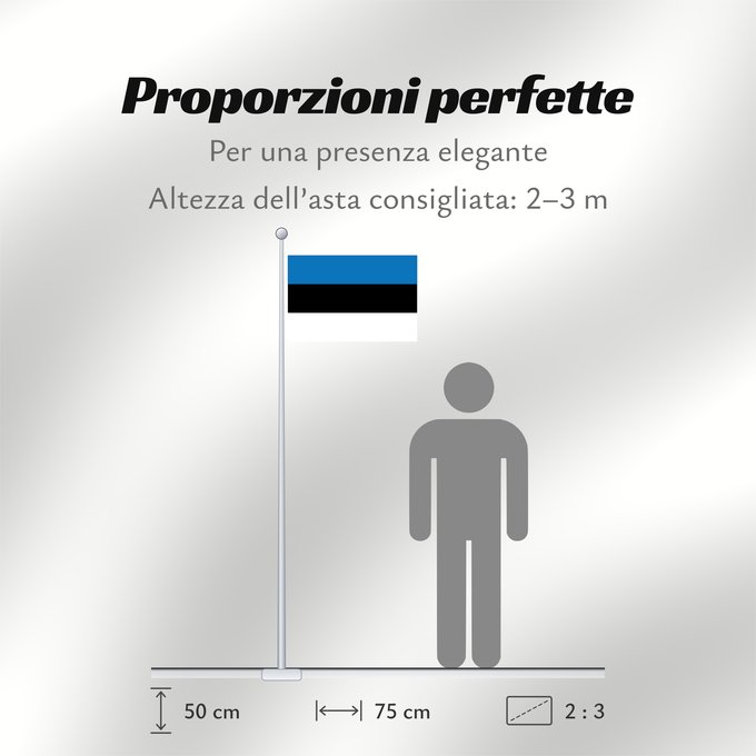 Proporzioni della bandiera: Estonia L Estonie Estland Estone Estónia Estonii Сцяг Эстоніі Национално знаме на Естония Estonská vlajka Σημαία της Εσθονίας Eesti lipp پرچم کشور استونی Viron HEastóine Észtország エストニアの国旗 ესტონეთის დროშა Estijos Igaunijas Знаме на Естонија Estoniei Флаг