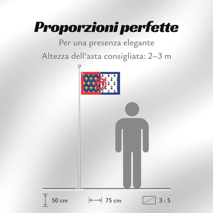 Proporzioni della bandiera: Unofficial flag of Pays-de-la-Loire	Unofficial flag of the region Pays-de-la-Loire in France	Non officiel de la région Pays-de-la-Loire	Países del Loira	Pays de la Loire	Los Païses de Léger