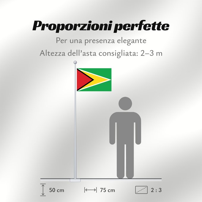 Proporzioni della bandiera: Guyana Guiana Wayana wiphala Gujano Gwayana Wayana unancha Флаг Гайаны Guyanas Quốc kỳ Guyana