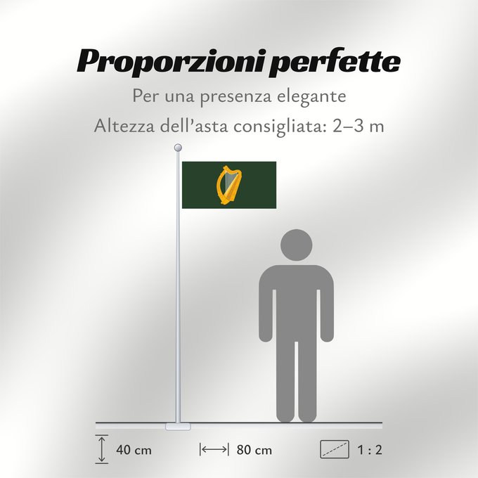 Proporzioni della bandiera: Leinster	W Leinster