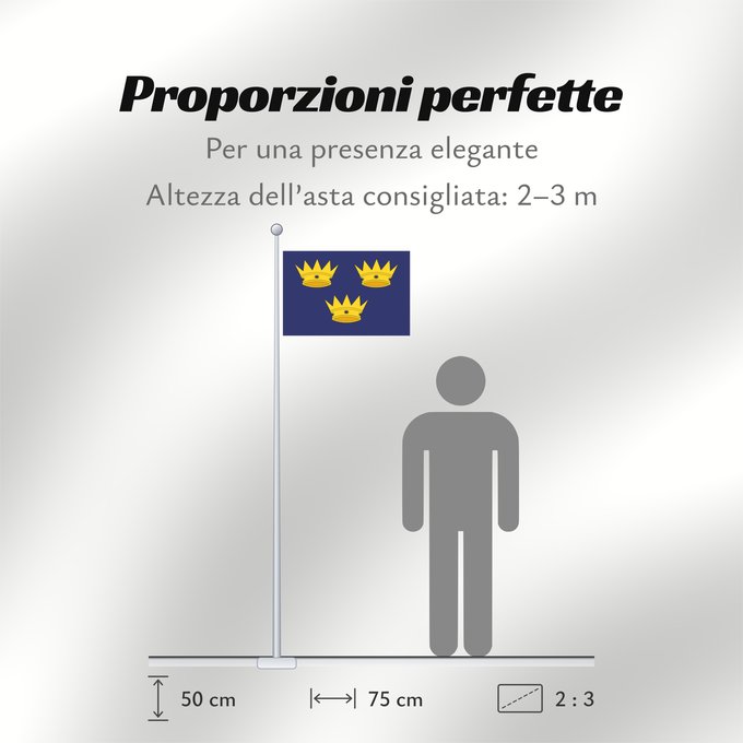 Proporzioni della bandiera: Munster