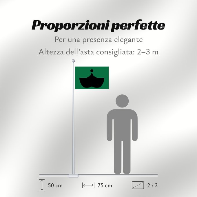 Proporzioni della bandiera:  Tiba [Chiba]
