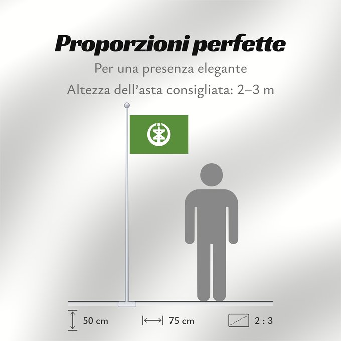 Proporzioni della bandiera: Niigata