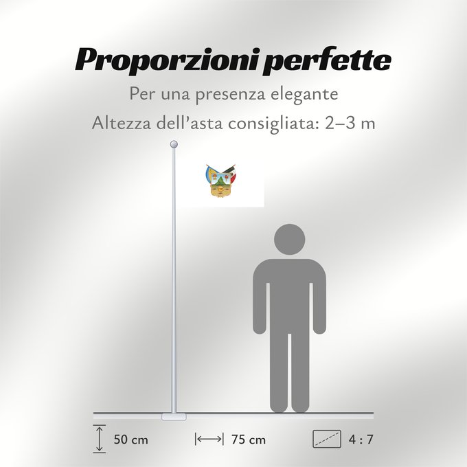 Proporzioni della bandiera: Hidalgo hidalgo y fidalgo