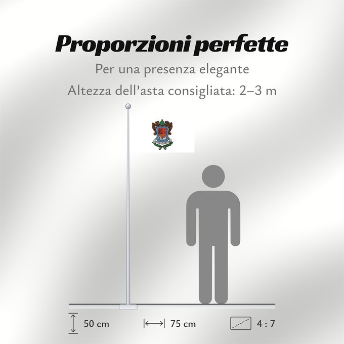 Proporzioni della bandiera: Michoacan	Michoacán