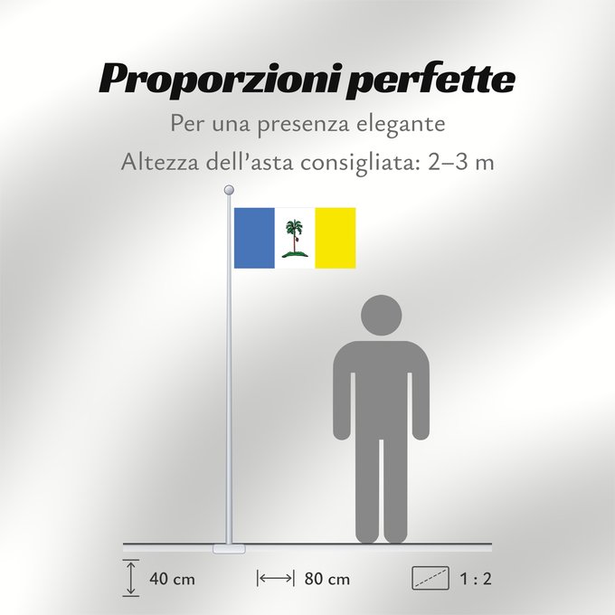 Proporzioni della bandiera: Pulau Pinang
