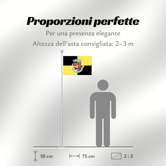 Proporzioni della bandiera: Viana do Castelo