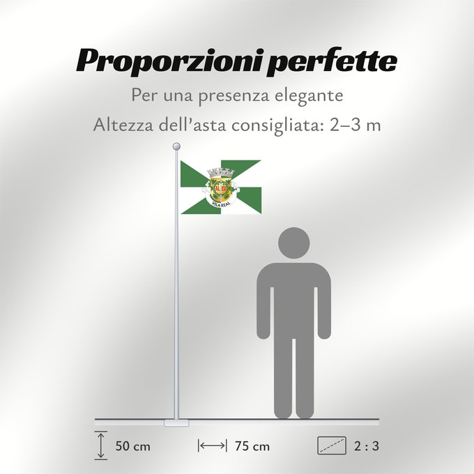 Proporzioni della bandiera: Vila Real