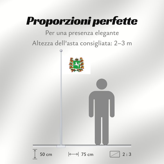 Proporzioni della bandiera: Tomskaya oblast'