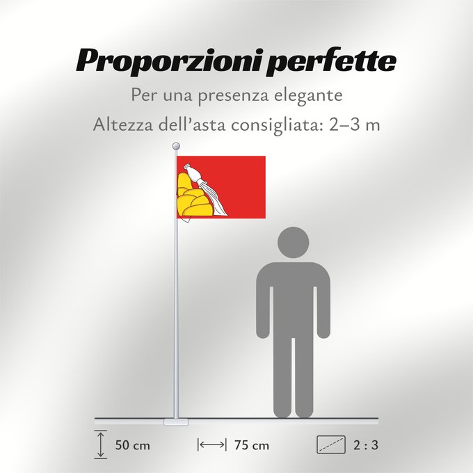Proporzioni della bandiera: Voronezh Oblast Voronezh Oblast of Russia Oblast de Voronej Óblast de Vorónezh Oblast Woronesch Флаг Воронежской области Россия Прапор Воронезької області Росія