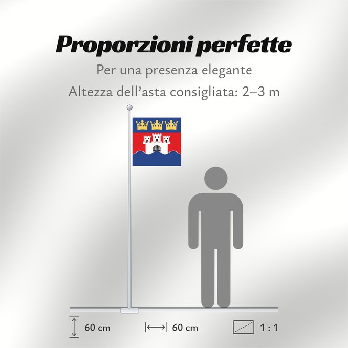 Proporzioni della bandiera: Jönköpings län vapenflagga Jönköping County in Sweden Jönköping Jönköpings läns vapenflagga