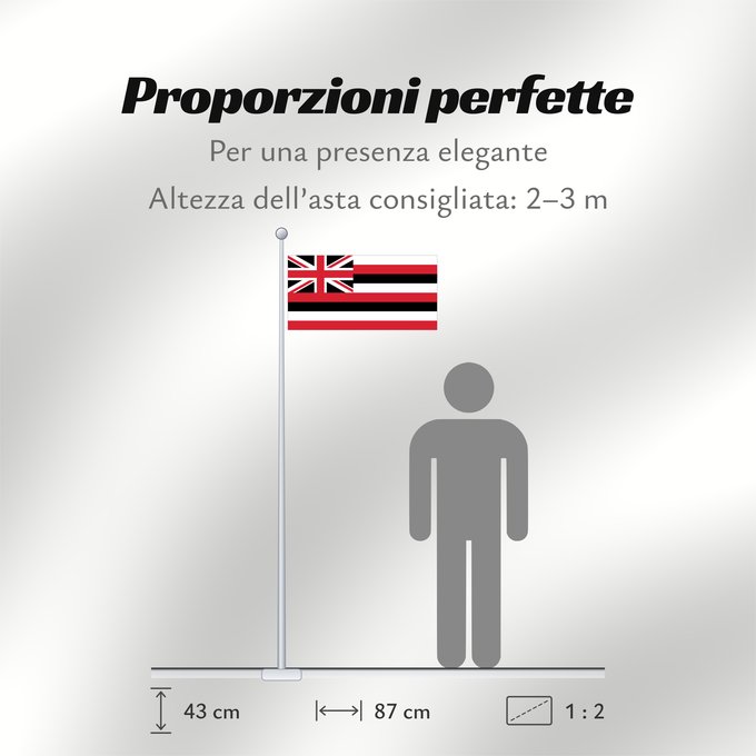 Proporzioni della bandiera: Hawaii	D Hawaï	Hawái	Banniel Hawaii	ᎭᏩᏱ ᎦᏓᏘ	Ka hae Hawaiʻi	夏哇夷 州의 旗 / 하와이 주의 기	Havaii	Hawáai Hahoodzo bidah naatʼaʼí	Флаг Гавайев	Američke savezne države Havaji