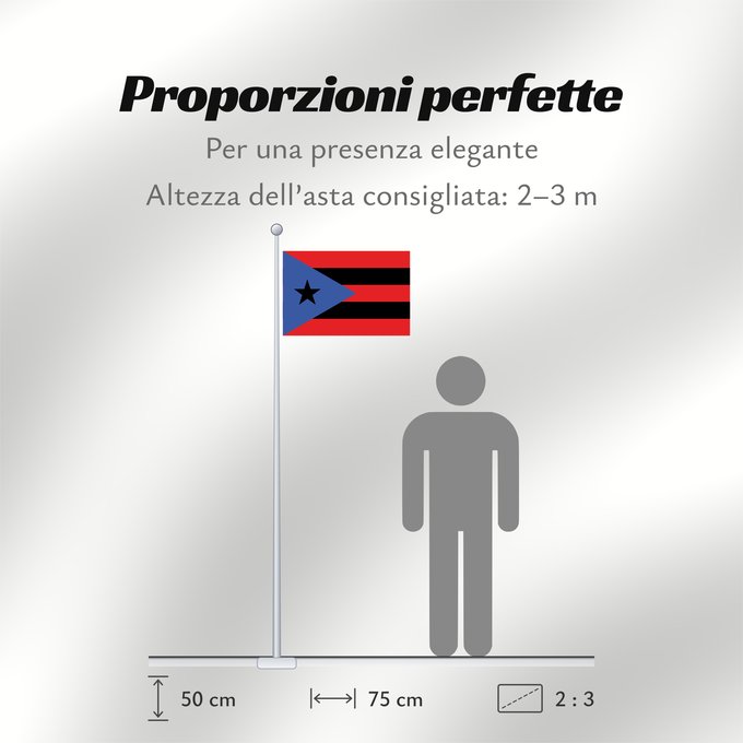 Proporzioni della bandiera: Puerto Rico