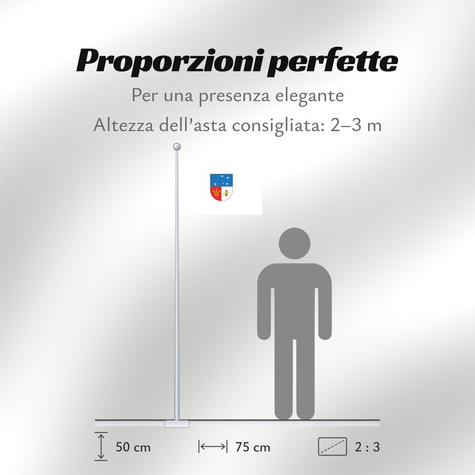 Proporzioni della bandiera: Colonia Department Colonia département de Colonia