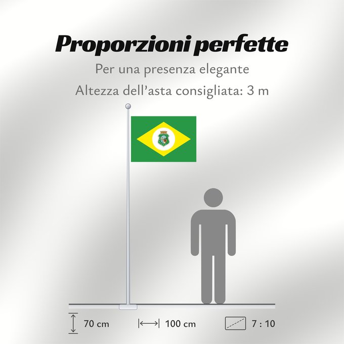 Proporzioni della bandiera: Ceará State of Ceará, Brazil Estado do Ceará, Brasil