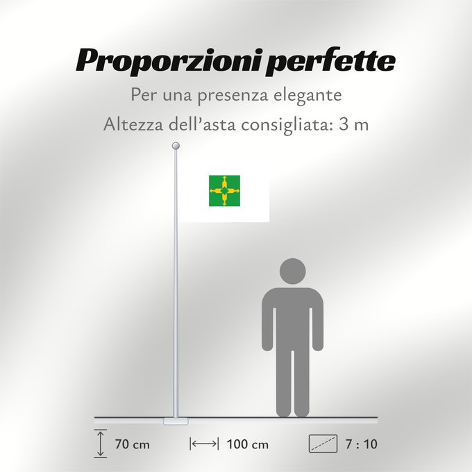 Proporzioni della bandiera: Distrito Federal