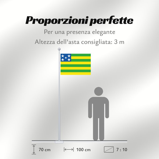 Proporzioni della bandiera: Goiás