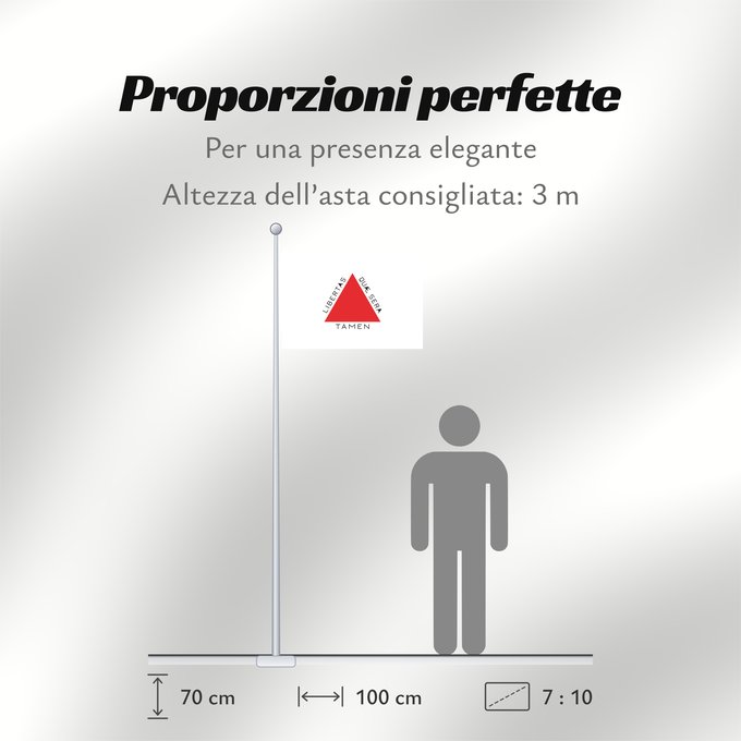 Proporzioni della bandiera: Minas Gerais Brazilian state of Minas Gerais is based on state law 2793 from 8 January 1963, which describes the flag as follows In the centre of a white rectangle in the format 20 units by 14 units is a red equilateral triangle with a side length of 8 un