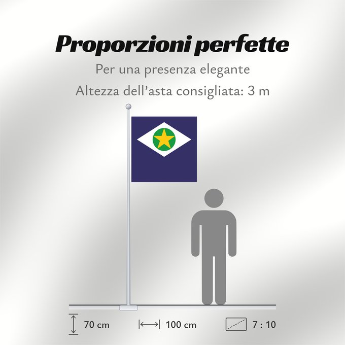Proporzioni della bandiera: Mato Grosso State of Mato Grosso, Brazil Mato Grueso Mato Grosso, Brasil