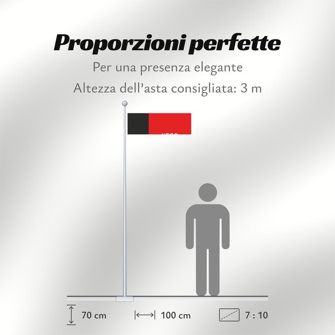Proporzioni della bandiera: Paraíba