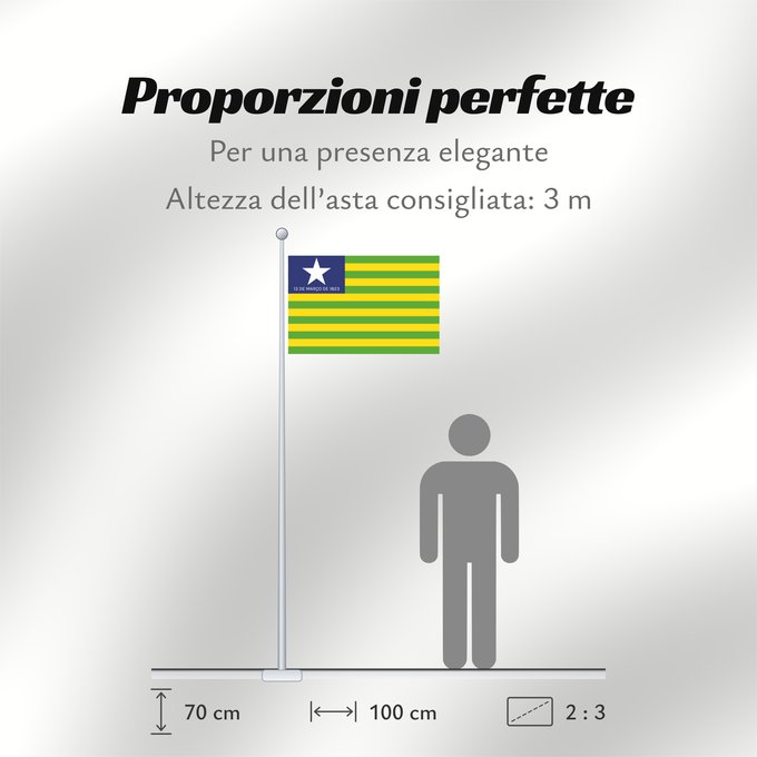 Proporzioni della bandiera: Piauí