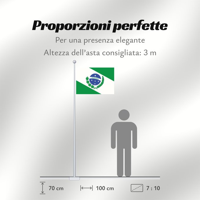 Proporzioni della bandiera: Paraná